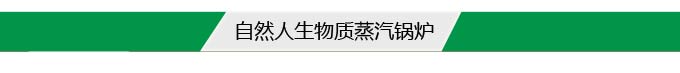 自然人生物质蒸汽锅炉