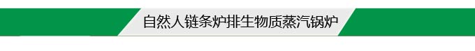 自然人链条炉排生物质蒸汽锅炉--ZRS—DZL型系列