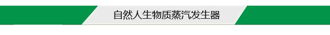自然人生物质蒸汽发生器